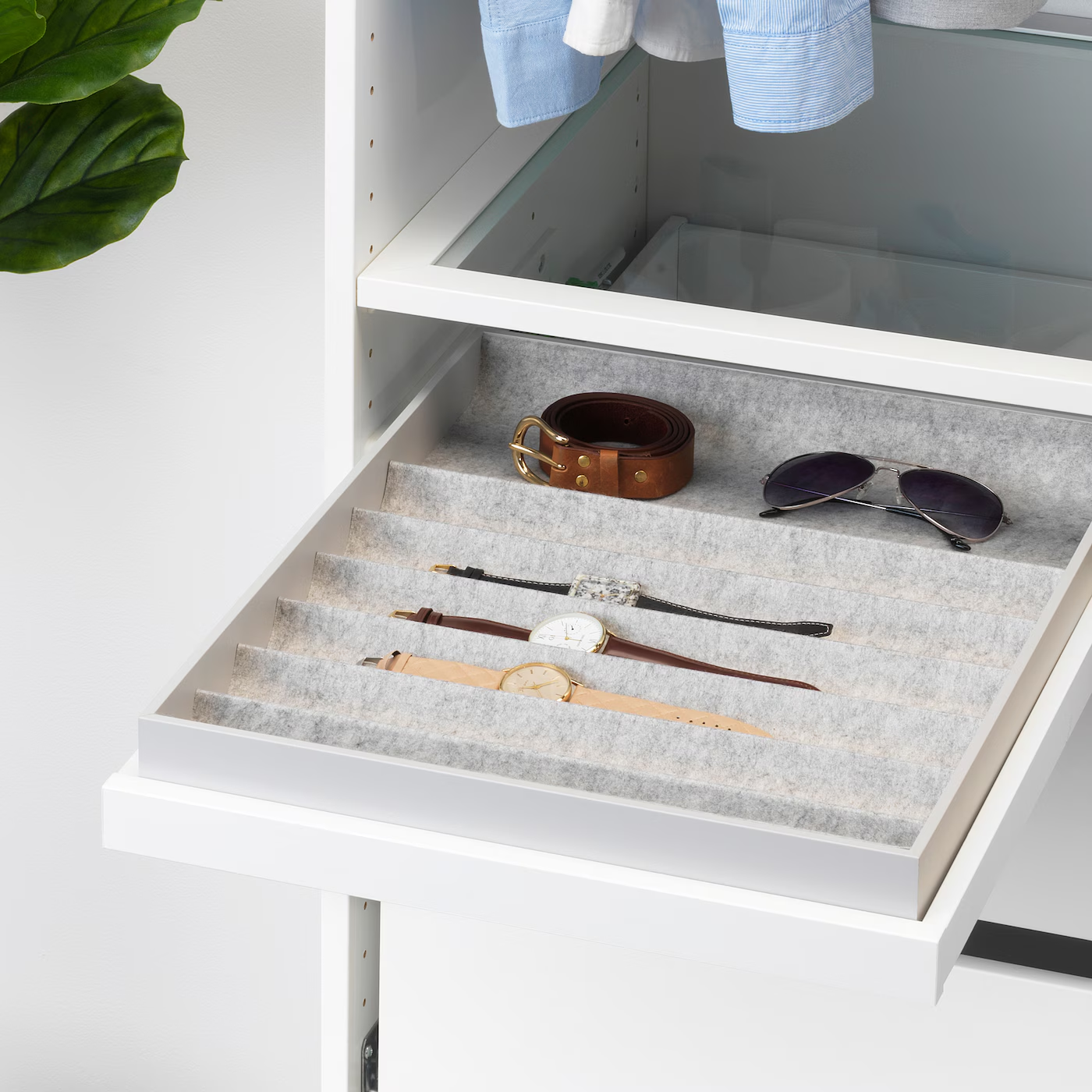 Watch Tray